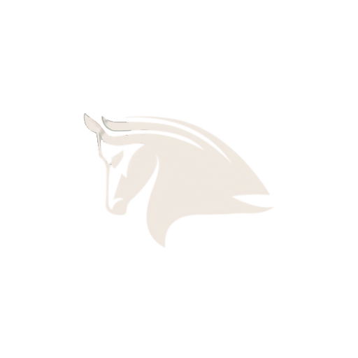 The Stampede Network